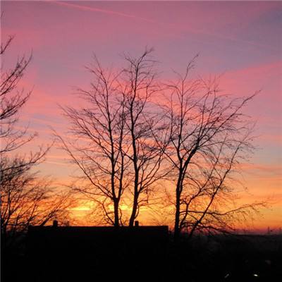 梭哈游戏下载手机app下载